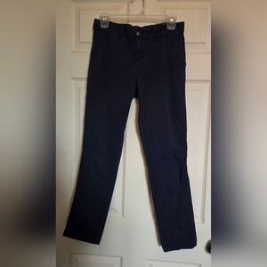 GAP Blue Girlfriend Crop Pants Size 2